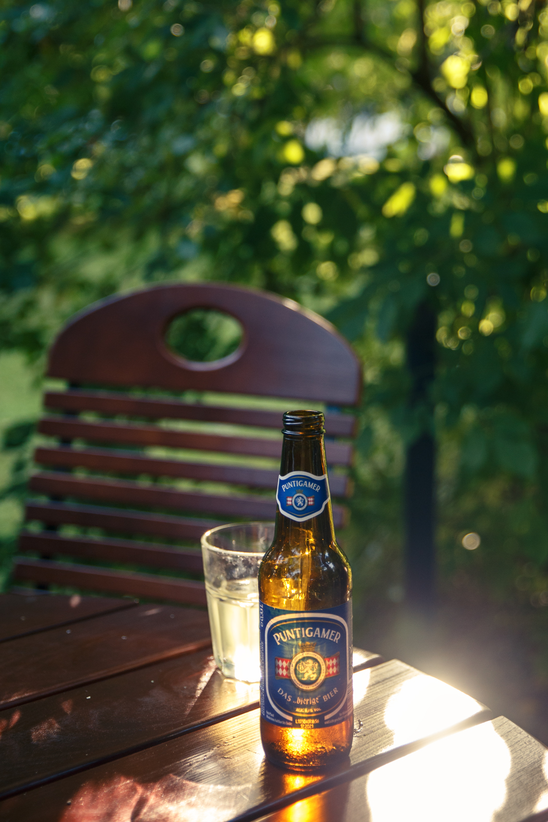 Bier